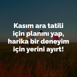 asd