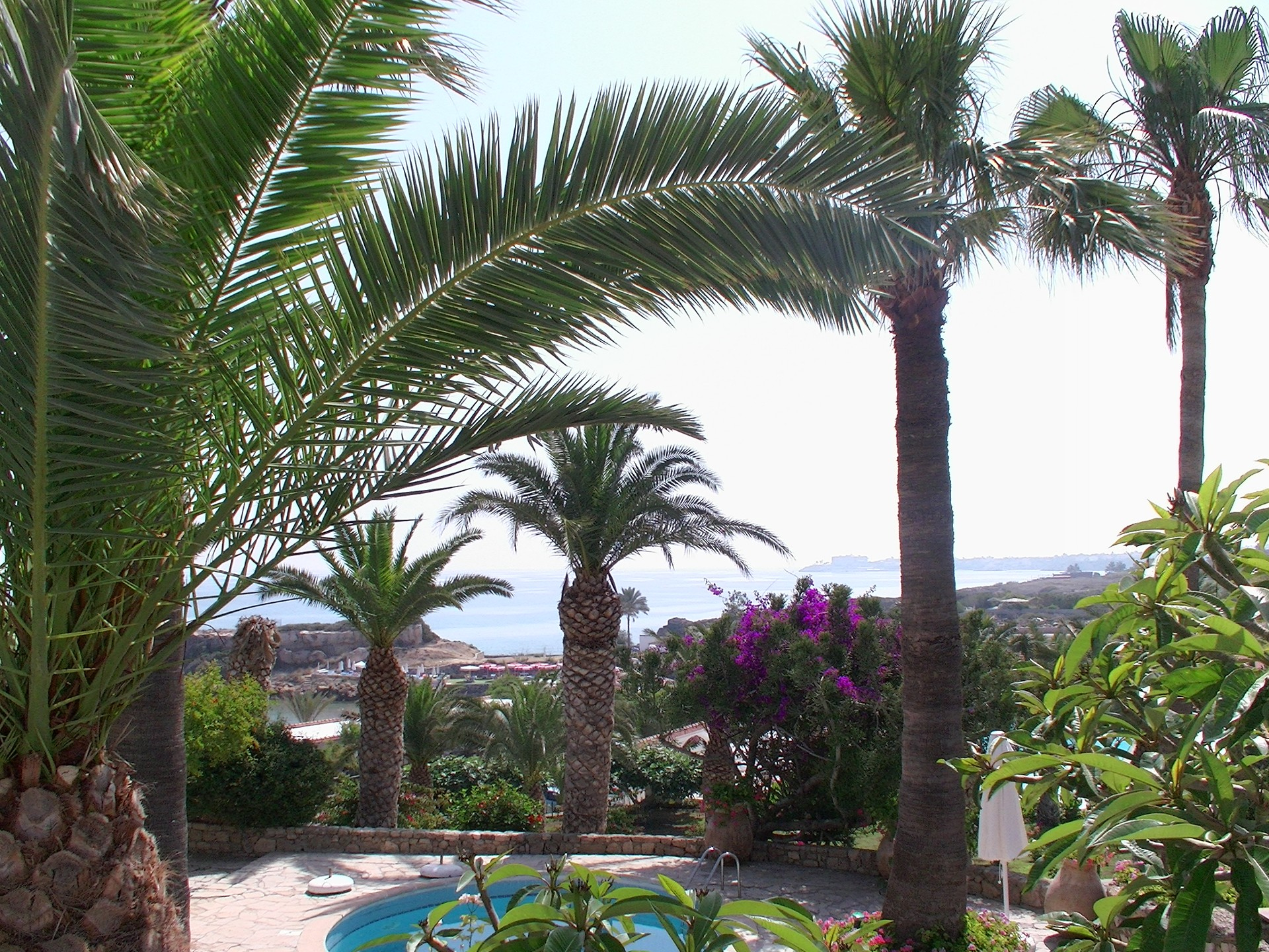 Deniz Kızı Hotel — 8