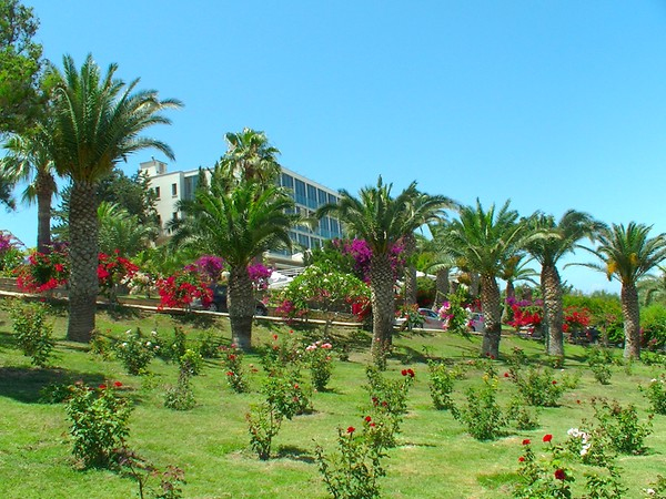 Deniz Kızı Hotel - 2
