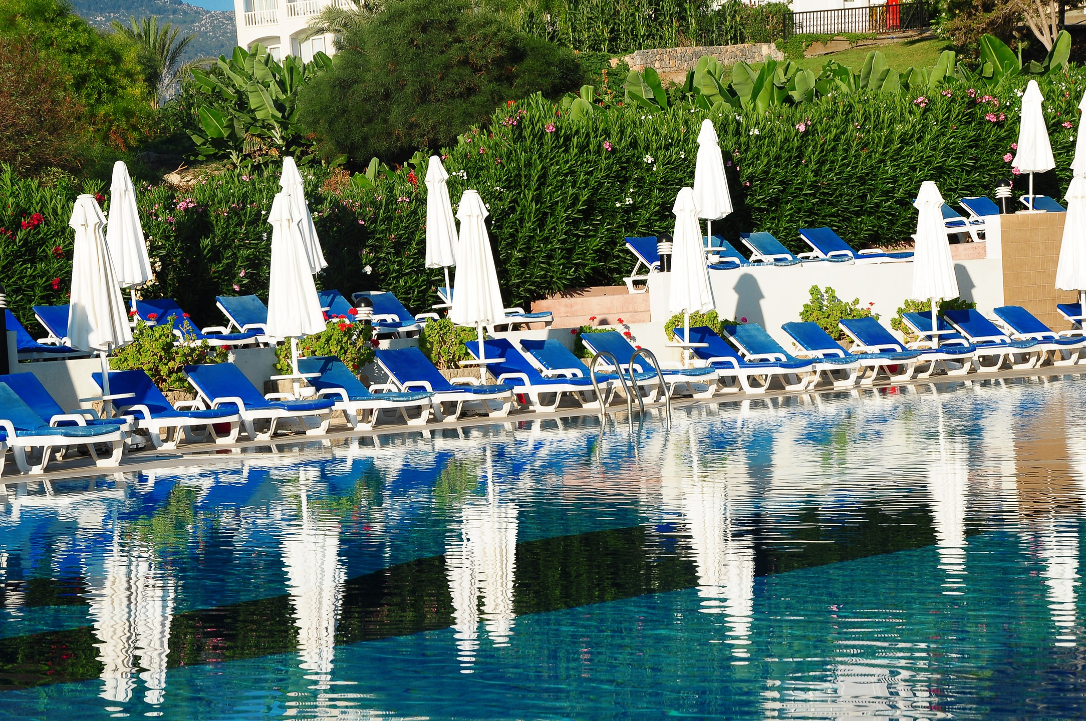 Deniz Kızı Royal — 5