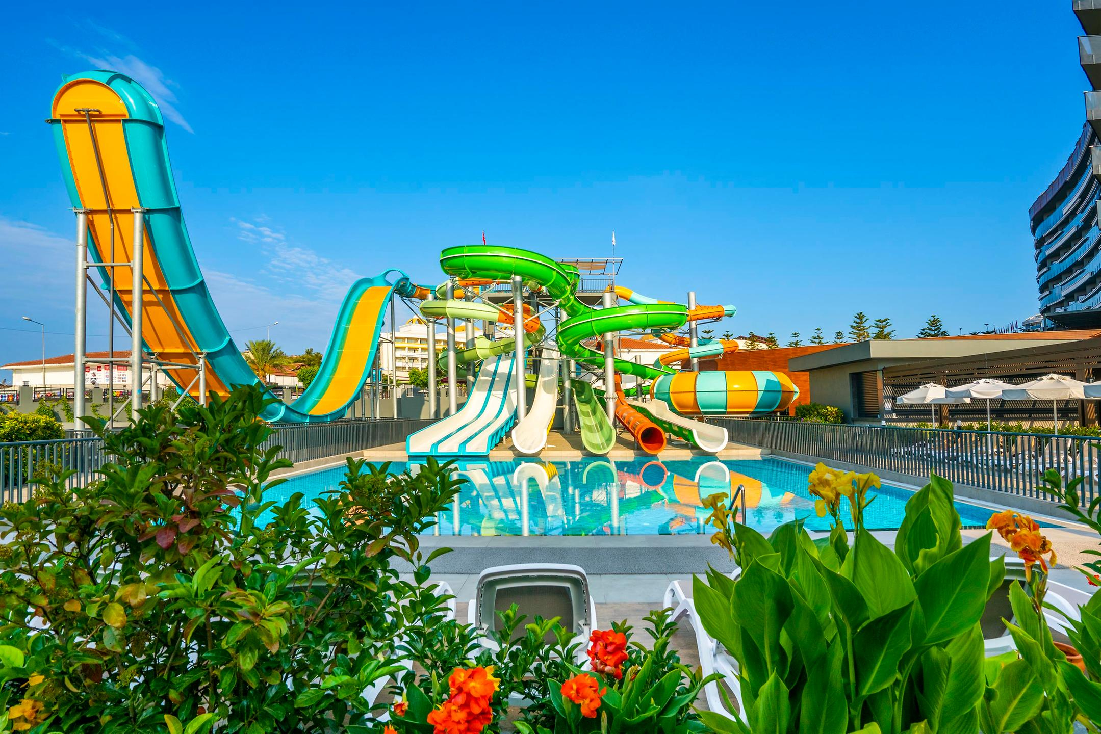 Calyptus Kirman Premium — 2