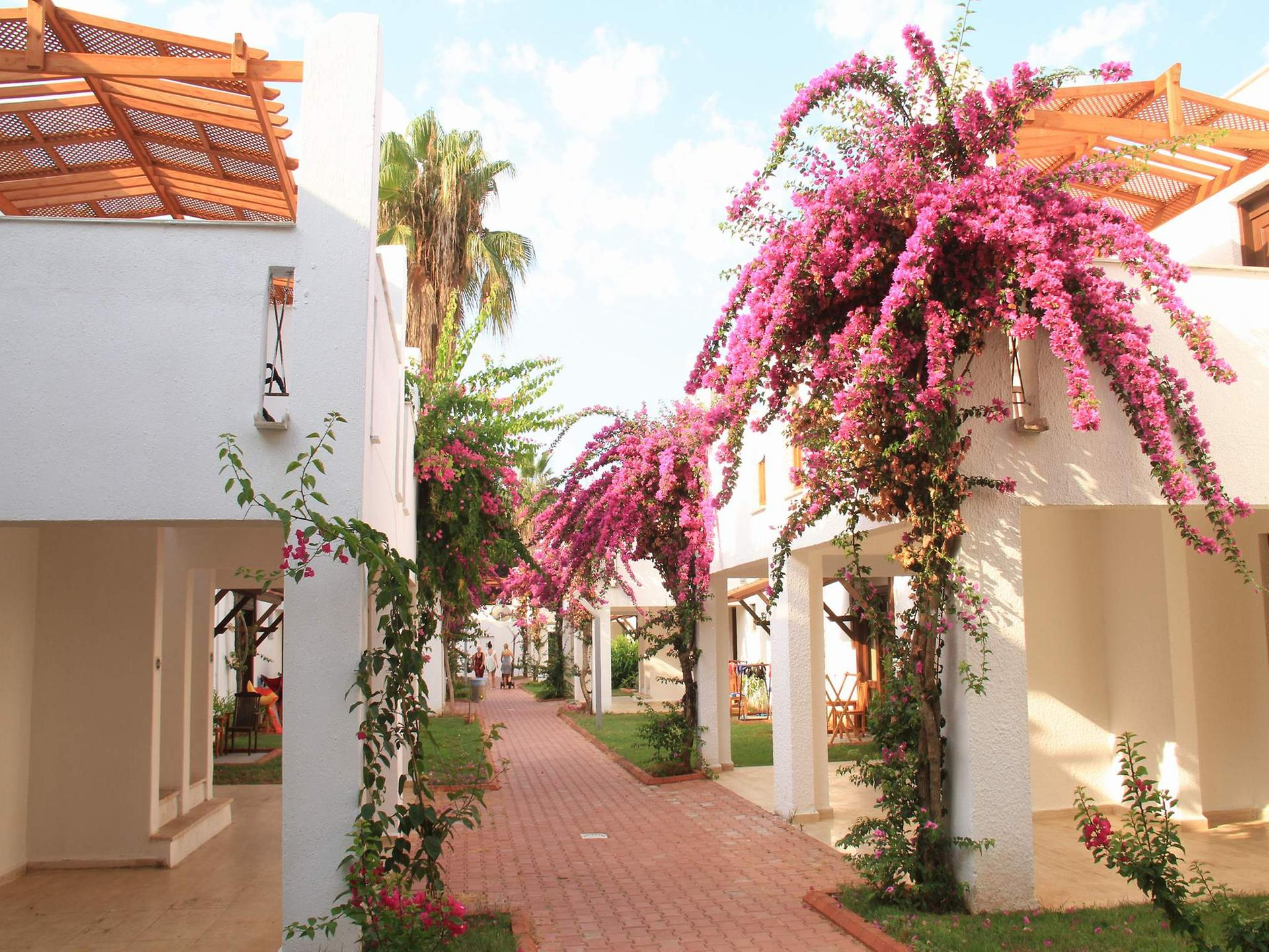Club Kastalia Holiday Village — 7