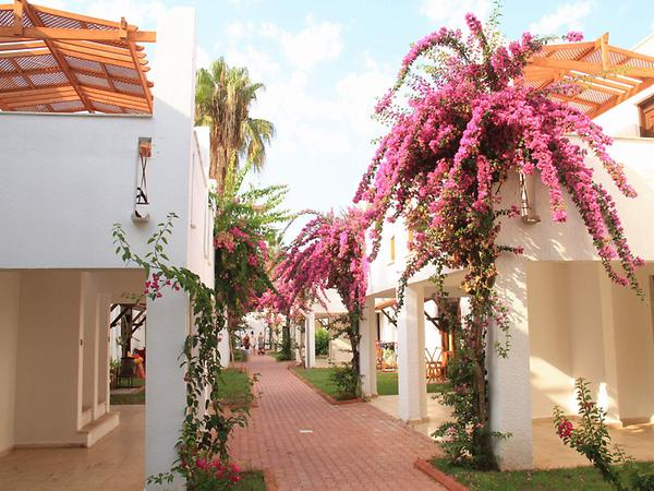 Club Kastalia Holiday Village — 7