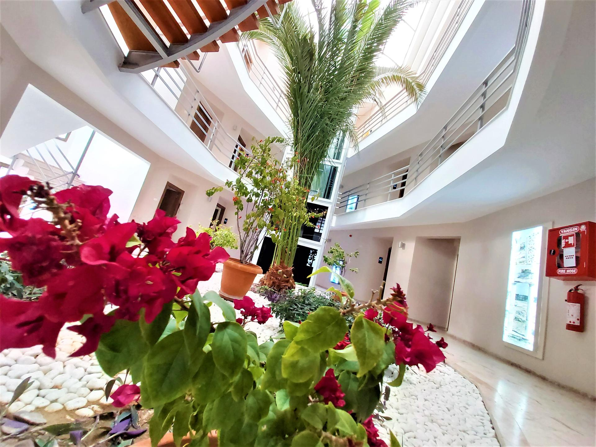Pam Thermal Hotel Clinic & Spa — 6
