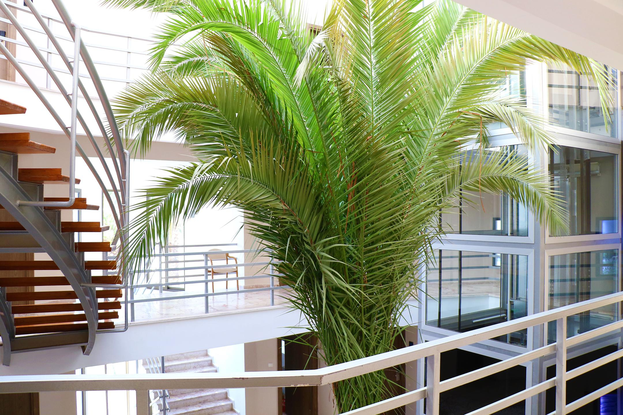 Pam Thermal Hotel Clinic & Spa — 9