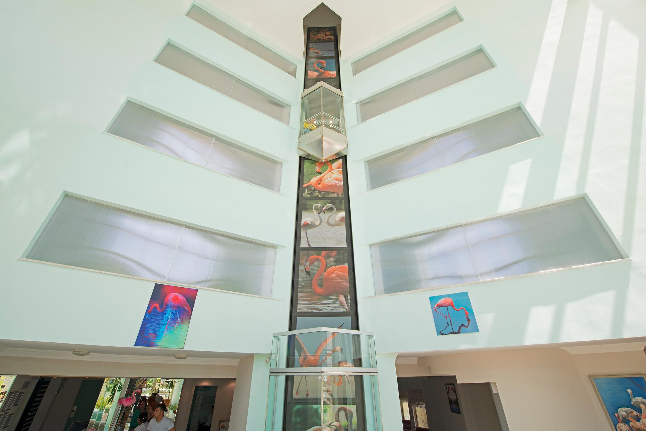 Flamingo Otel — 9