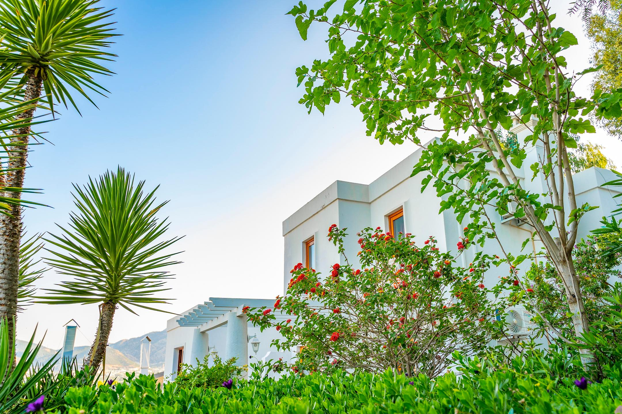Riva Bodrum Resort — 9