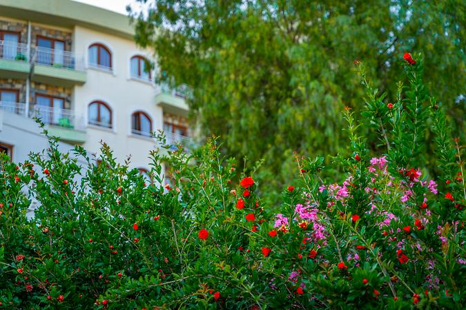 Riva Bodrum Resort - 3