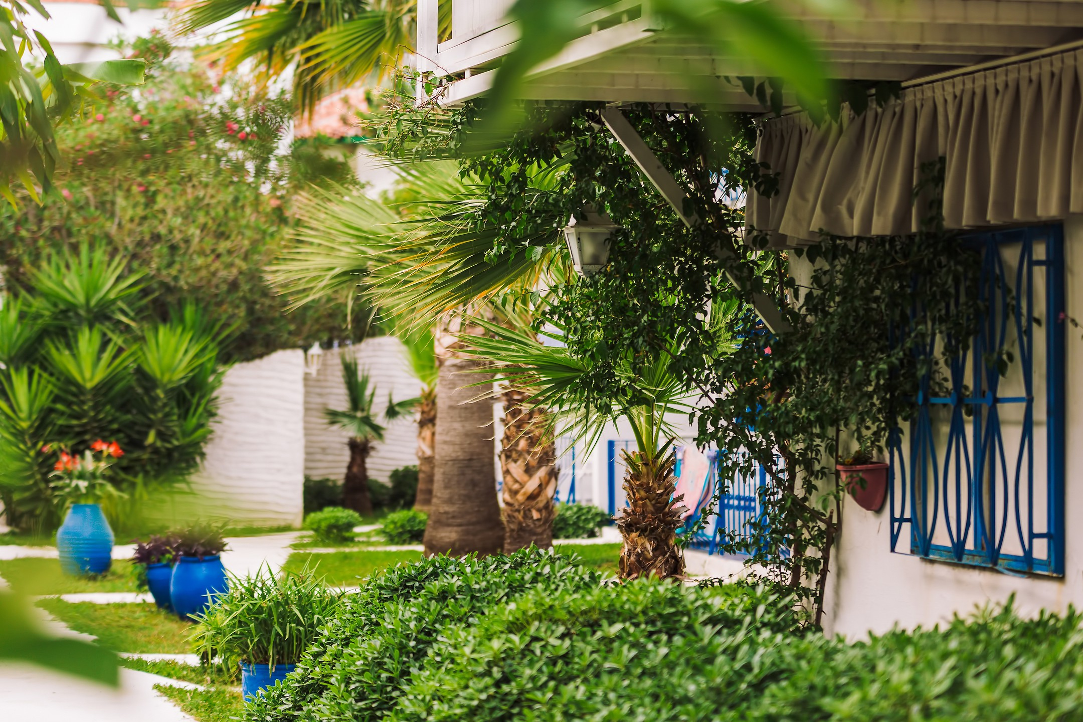 Monta Verde Hotel & Villas — 6
