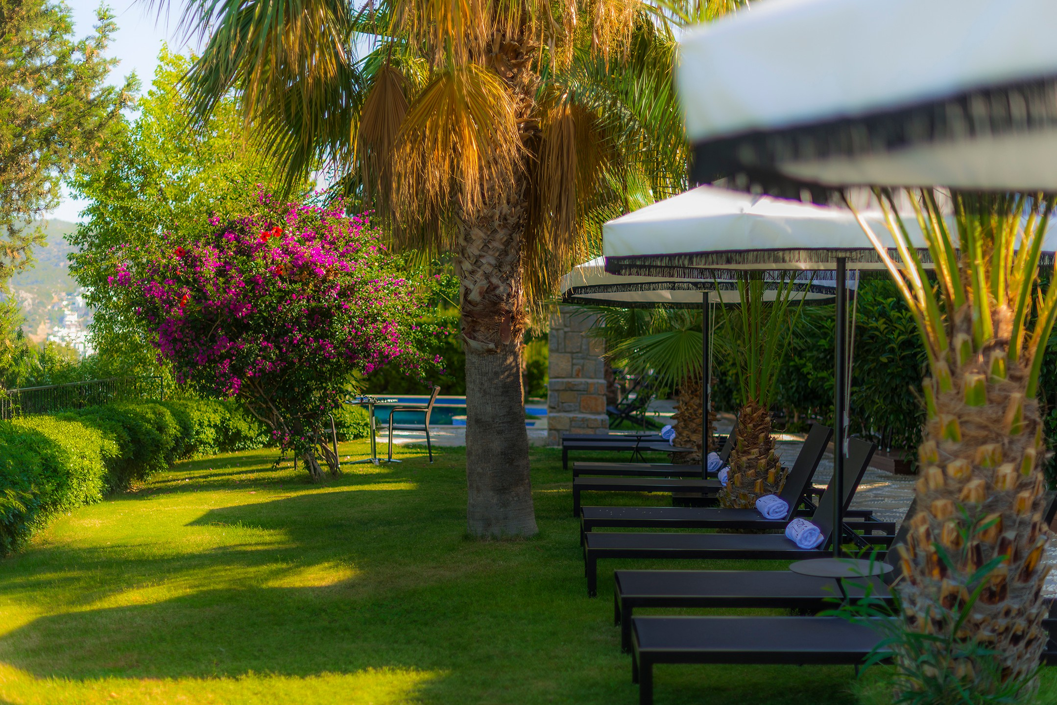 Magna Manastır Suıt Hotel — 2