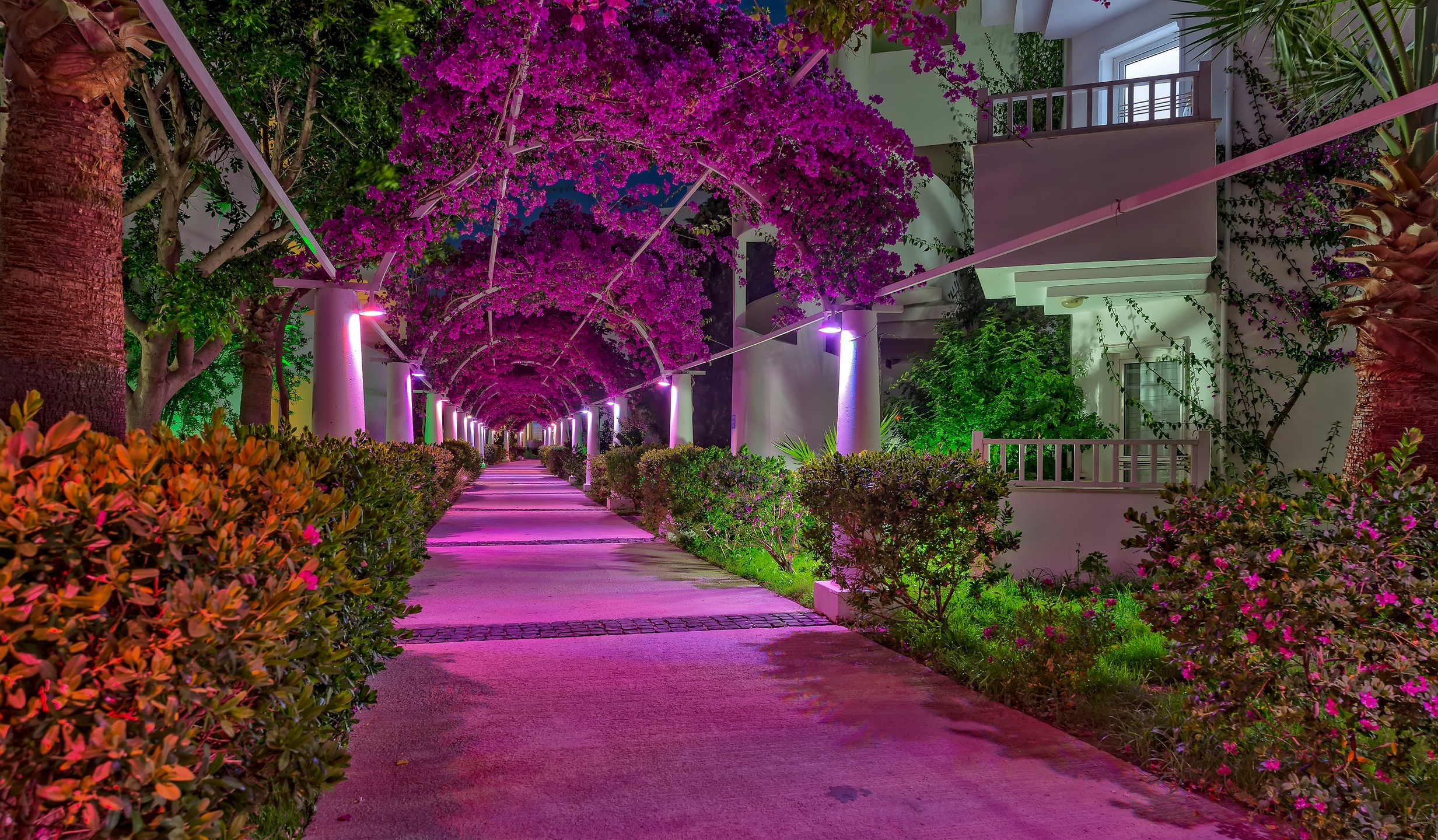 Otel Resmi