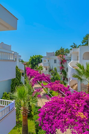 Bendis Beach Hotel - 3