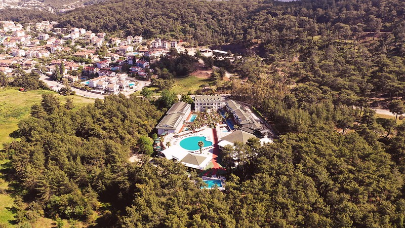 Green Forest Holiday Village - 3