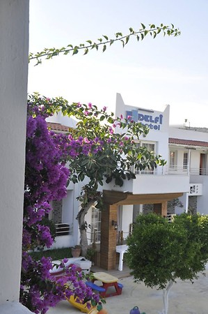 Delfi Hotel - 2
