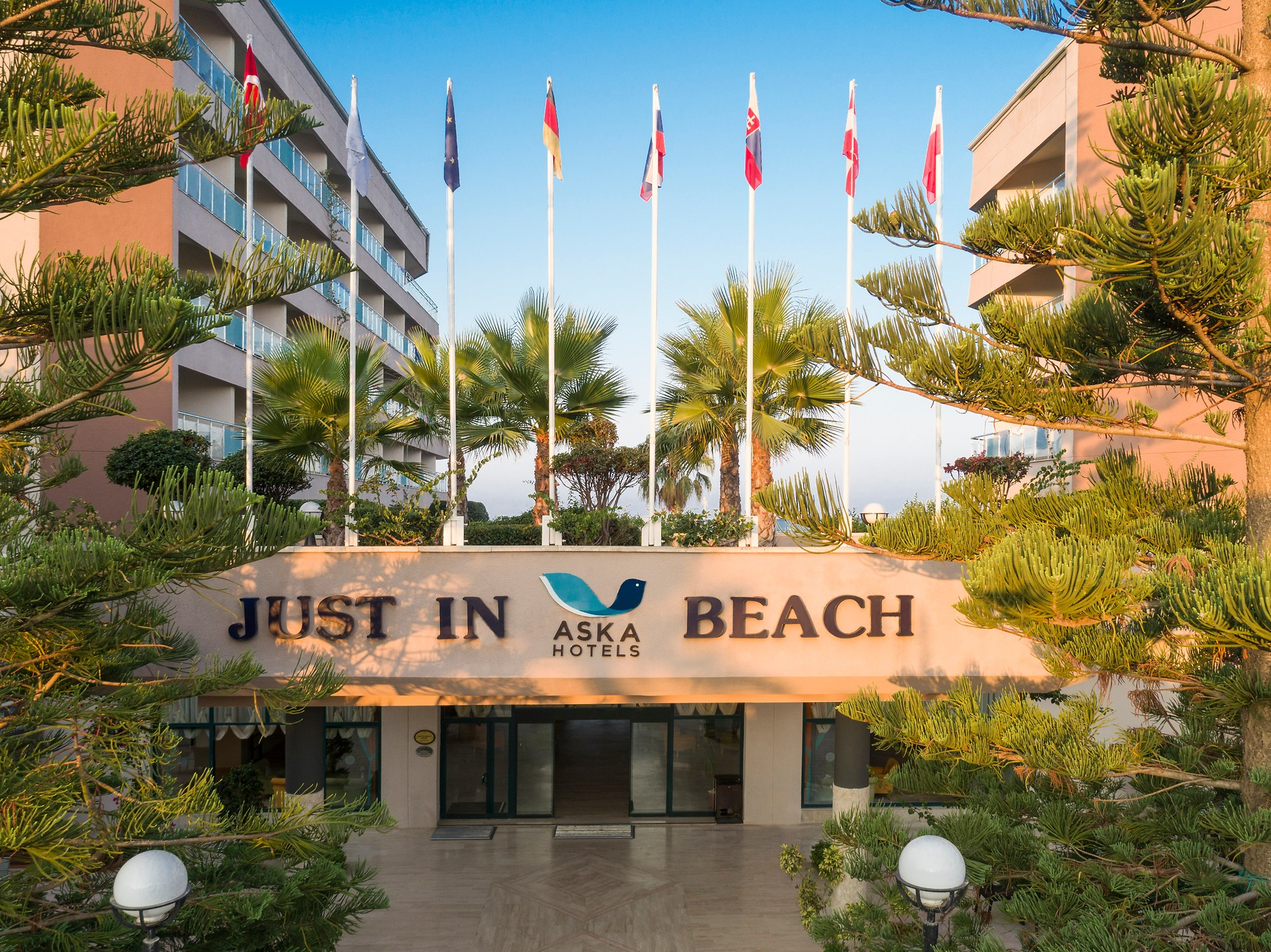 Aska Just In Beach — 3