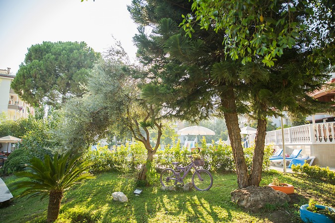 Halıcı Hotel - 4