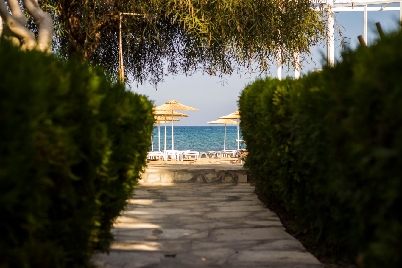 Mavi Beyaz Otel — 7