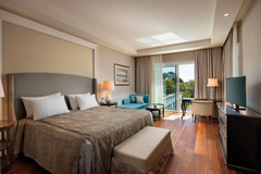 Lagoon Duplex Suite (with private pool)