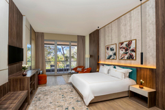 Deluxe Suite Park View