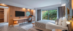 Comfort Suite