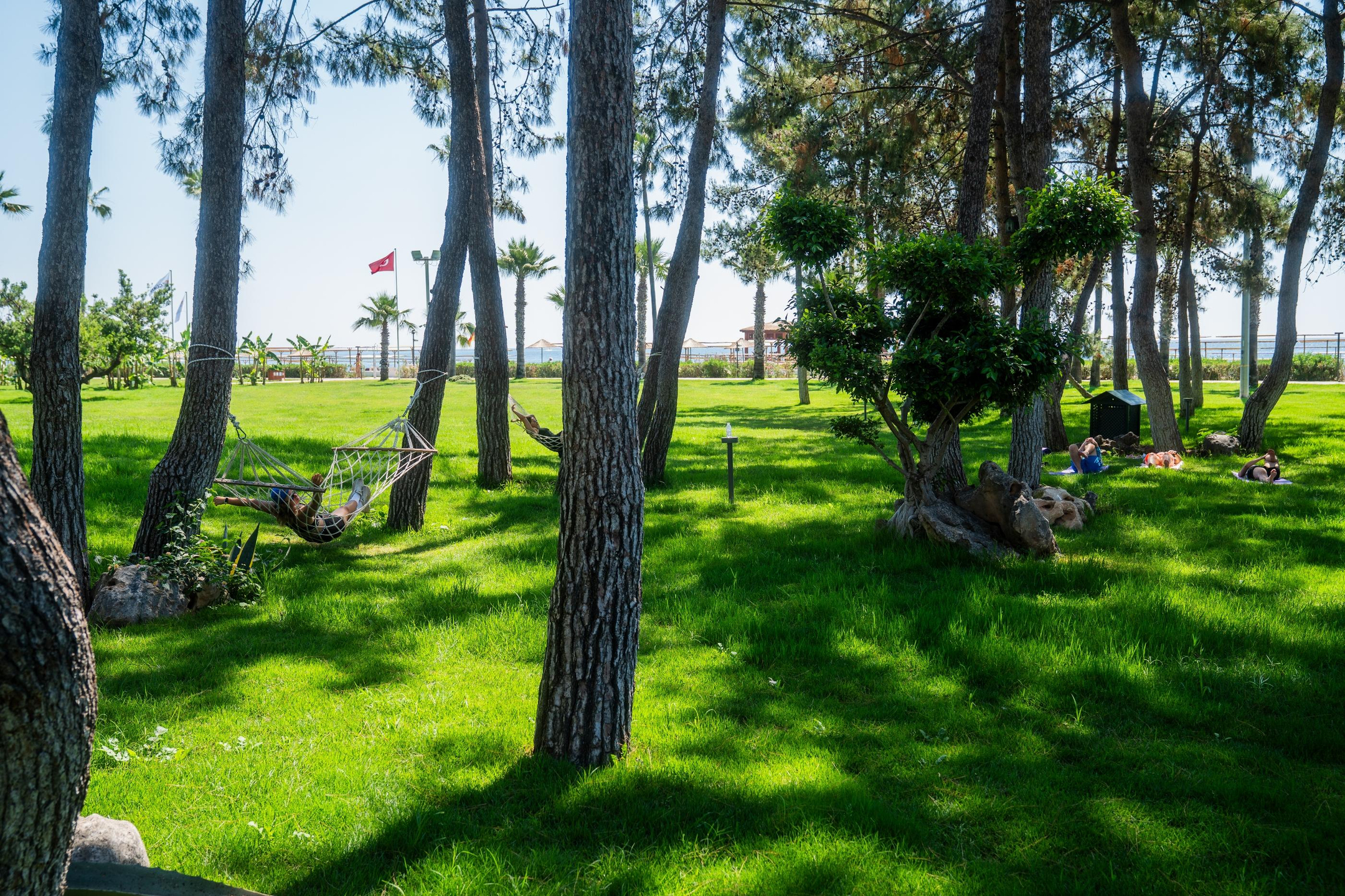 Mirage Park Resort — 9