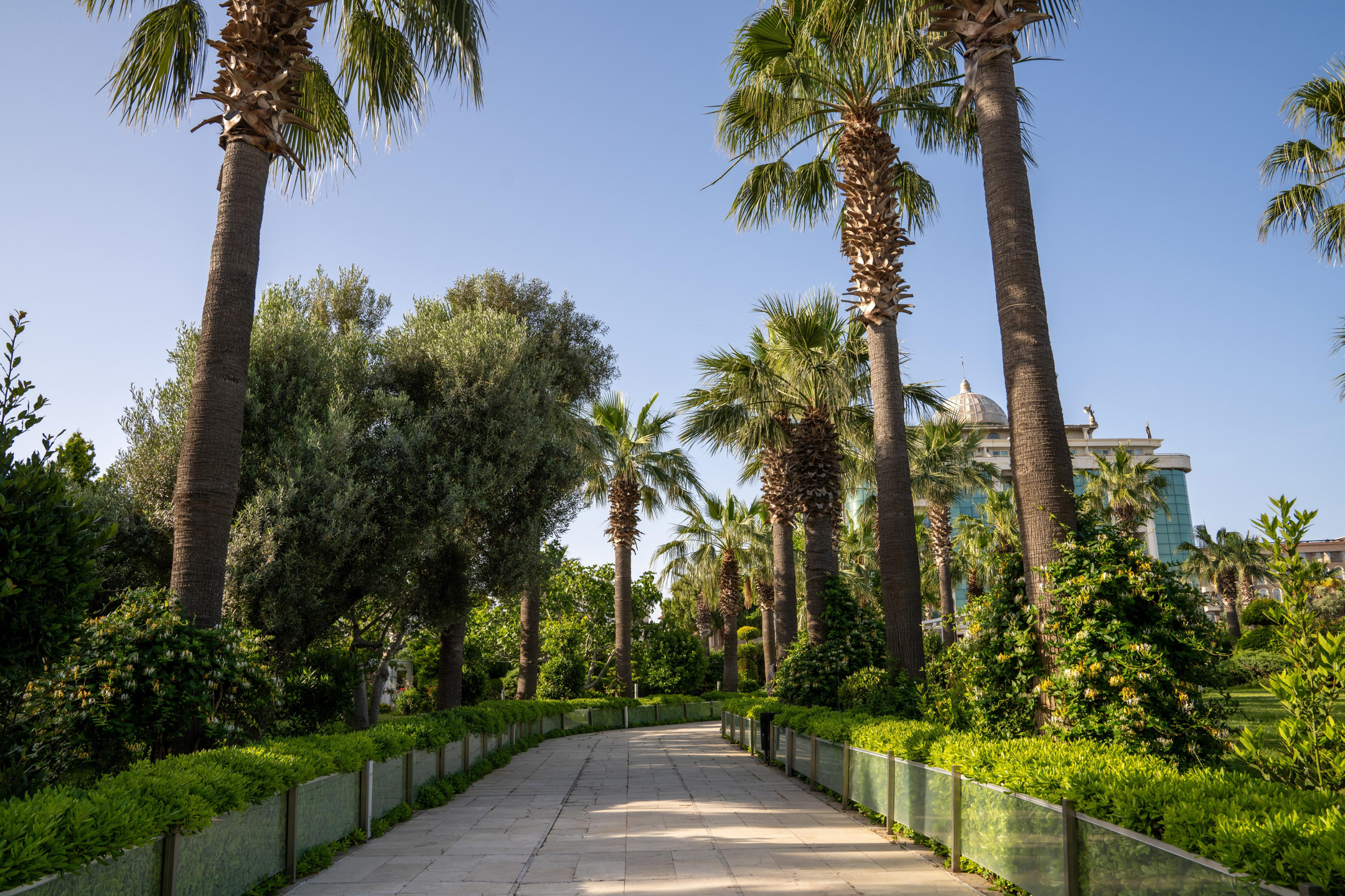 Garden Of Sun Hotel — 3