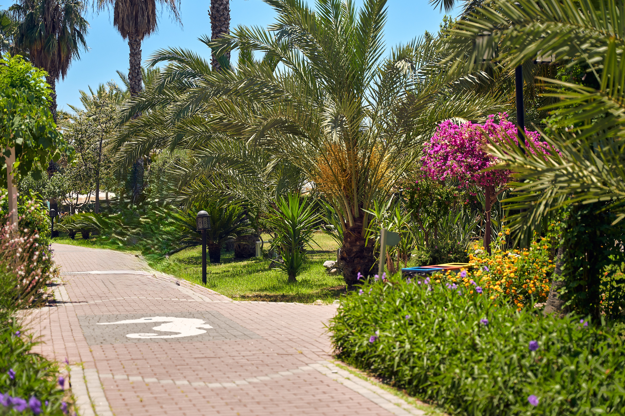 Seaden Sea World Resort & Spa — 10