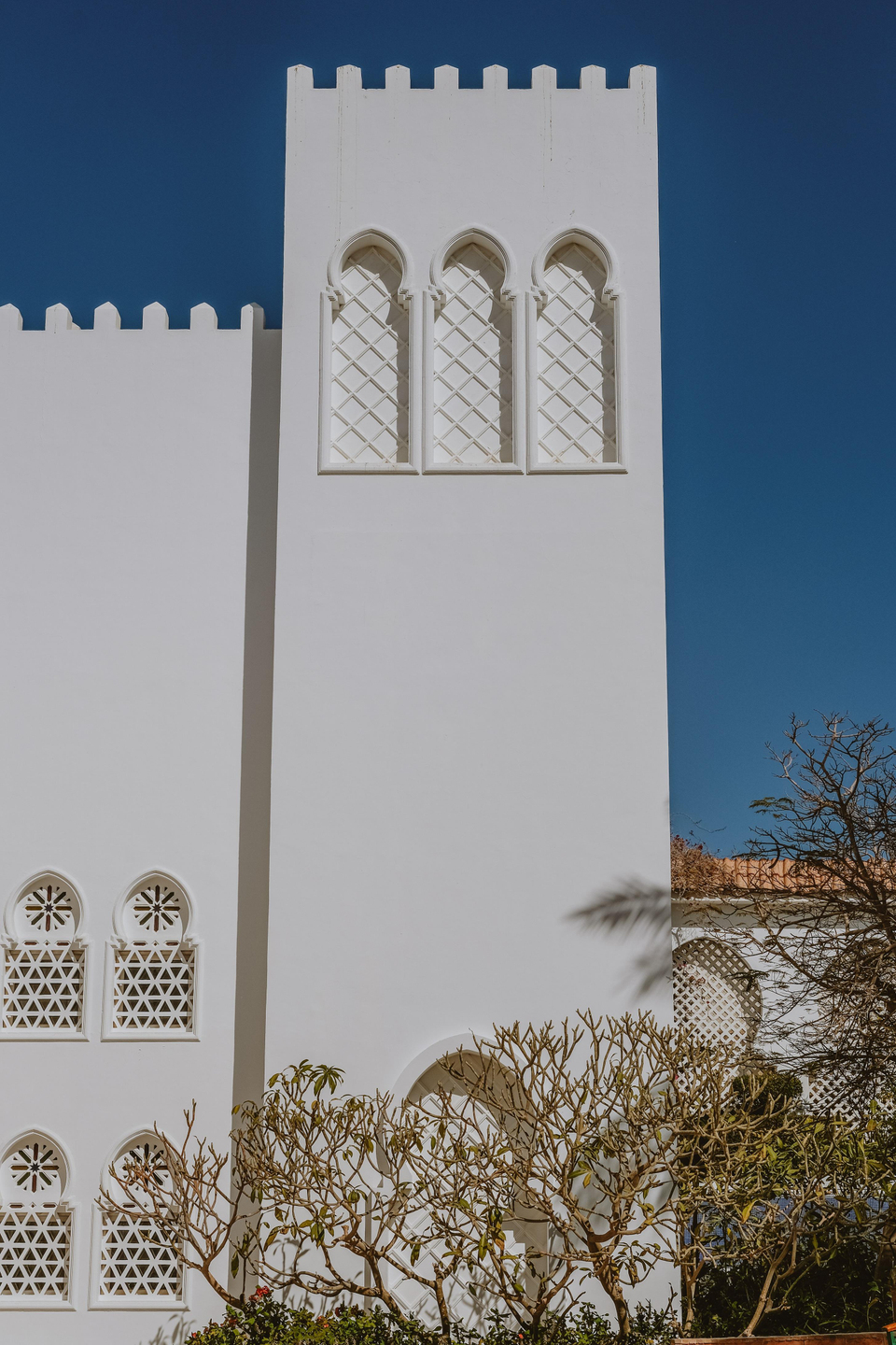 Baron Palms Sharm El Sheikh Adults Only +16 — 8