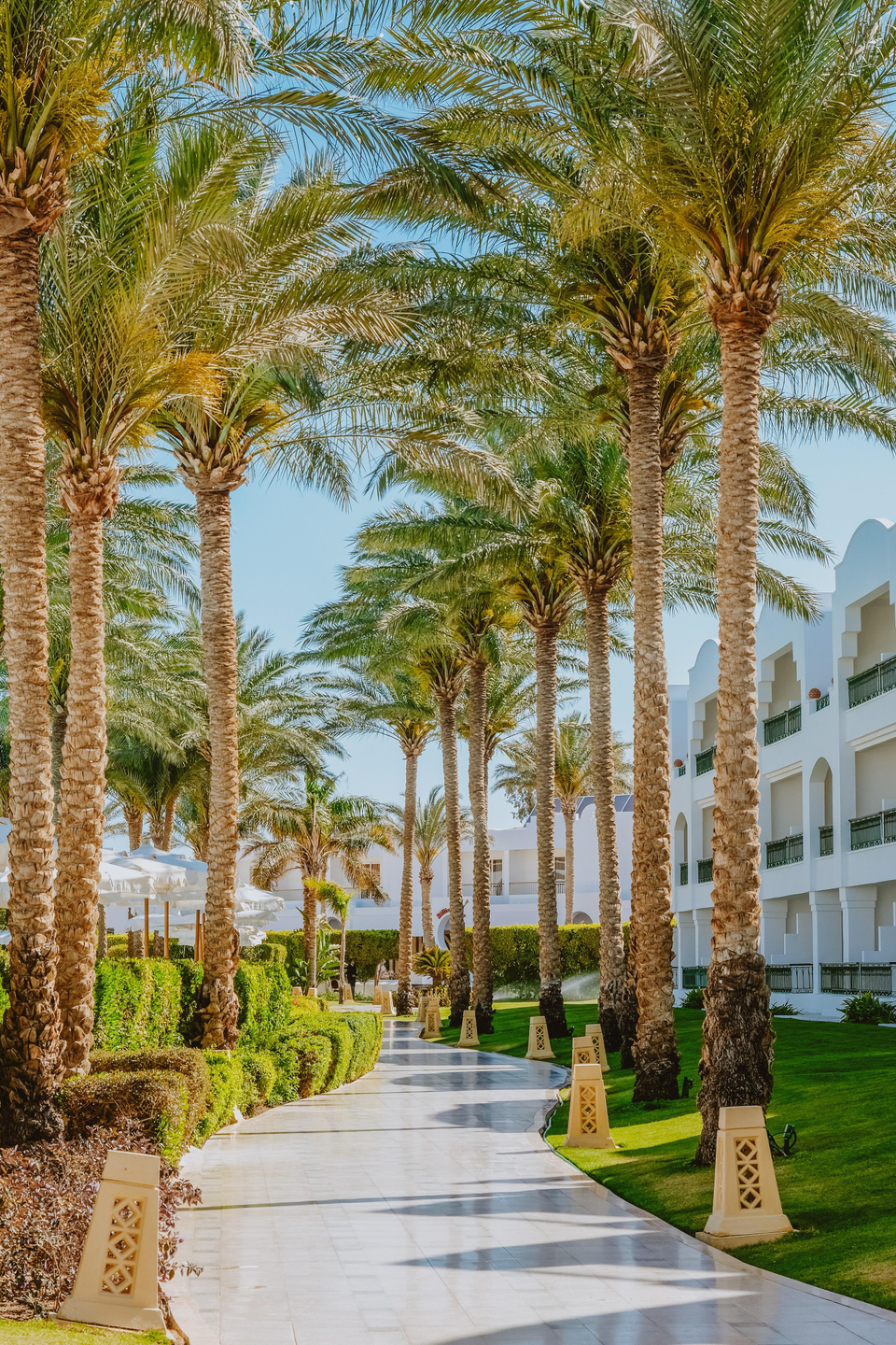 Baron Palms Sharm El Sheikh Adults Only +16 — 5