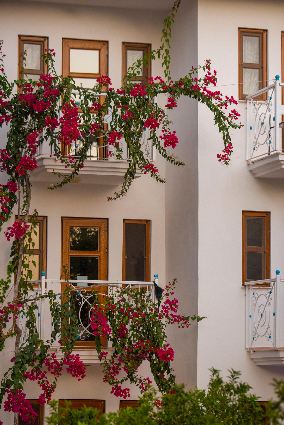 White Otel Ölüdeniz — 9