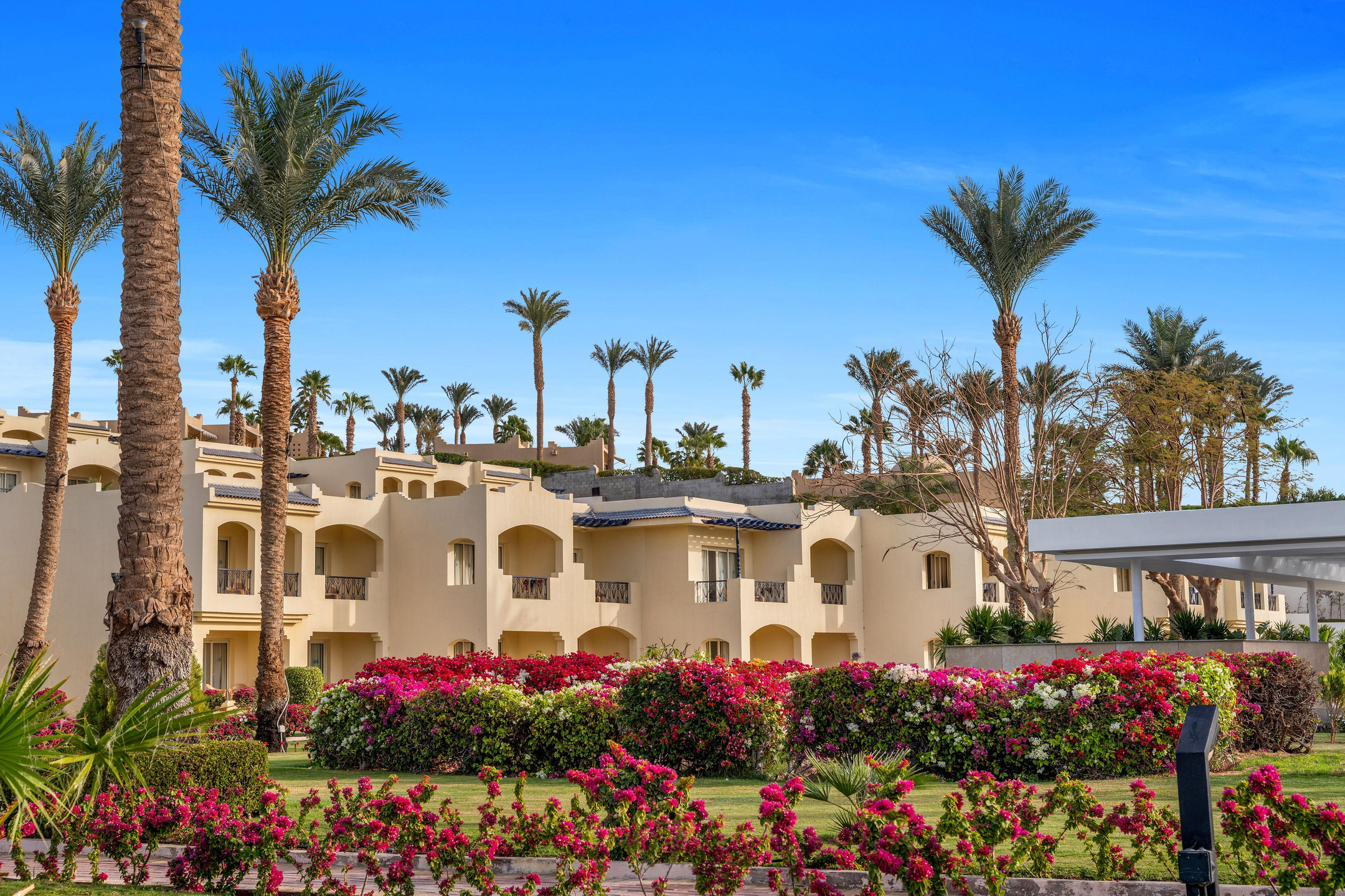 Grand Oasis Resort — 9