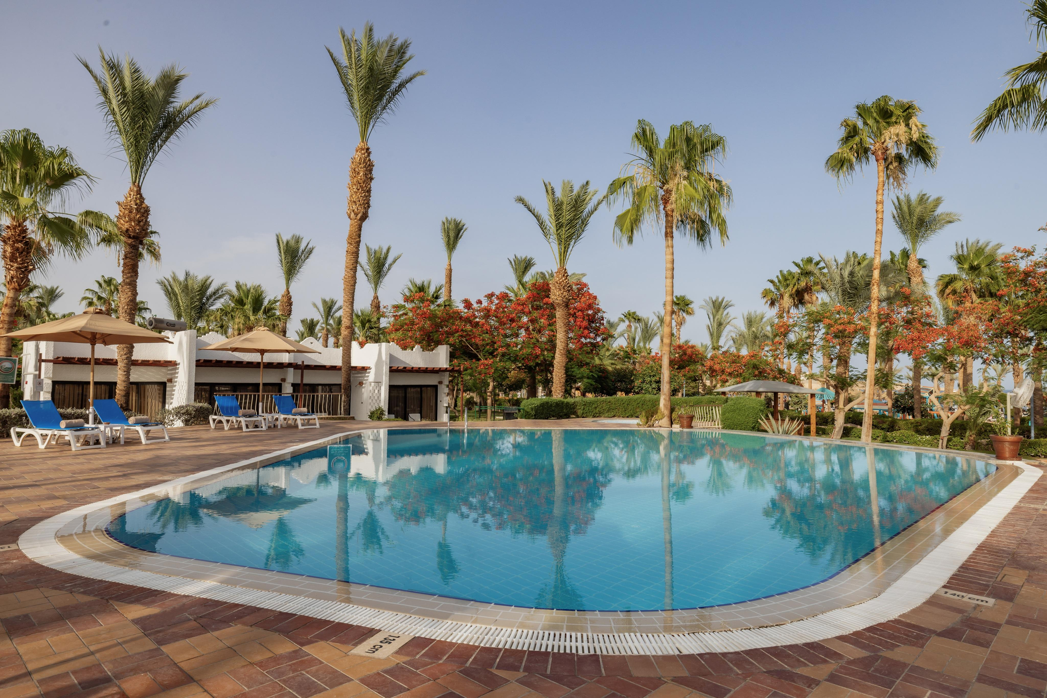 Jaz Fayrouz Resort — 6