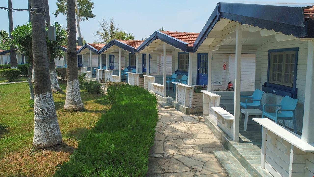 Genel Görünüm