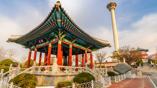 Asiana Hava Yolları ile Uzak Doğu'nun Çiçeği Güney Kore 6 Gece 8 Gün | Ekstra Turlar Dahil |