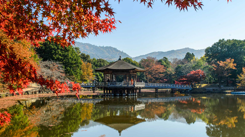 Türk Hava Yolları ile Uzakdoğu'nun Çiçeği ve Güneşi Güney Kore ve Japonya 8 Gece 10 Gün | Ekstra Turlar Dahil |