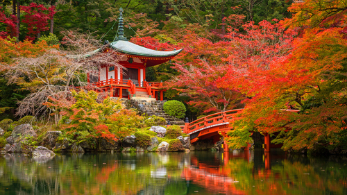 Türk Hava Yolları ile Uzak Doğu’nun Güneşi Japonya 6 Gece 8 Gün | Ekstra Turlar Dâhil |