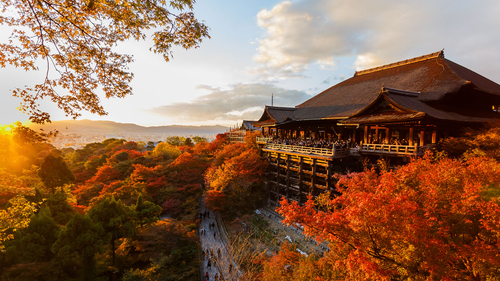 All Nippon (ANA) Hava Yolları ile Elegant Japonya 6 Gece 8 Gün