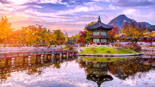Türk Hava Yolları ile Grand Japonya & Güney Kore 7 Gece 9 Gün