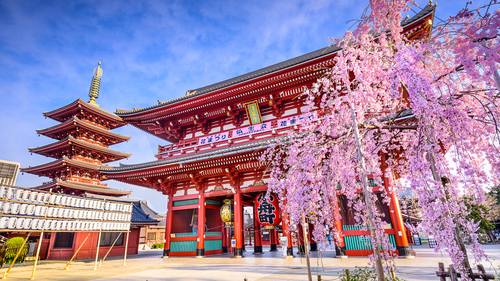 Türk Hava Yolları ile Elegant Japonya 7 Gece 8 Gün | Ekstra Turlar Dahil |