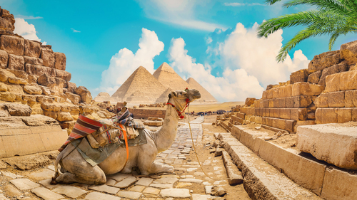 AirCairo Hava Yolları ile Prestij Kahire & Sharm El Sheikh 4 Gece 5 Gün