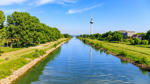 Amadeus Aurea İle Ren Nehrinde Yılbaşı 28 Aralık