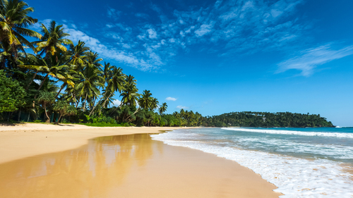 Türk Hava Yolları İle Elegant Sri Lanka 6 Gece 8 Gün | Ekstra Turlar Dahil |