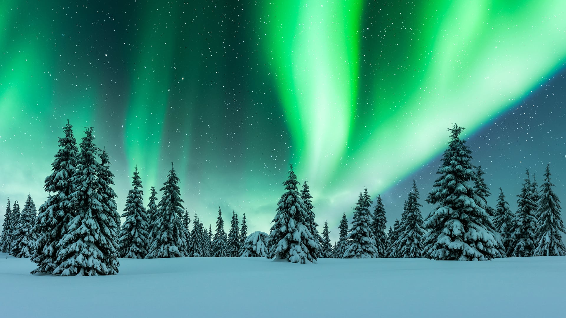 Pegasus Hava Yolları ile Kuzey Işıkları Lapland 3 Gece 4 Gün | Sömestr |