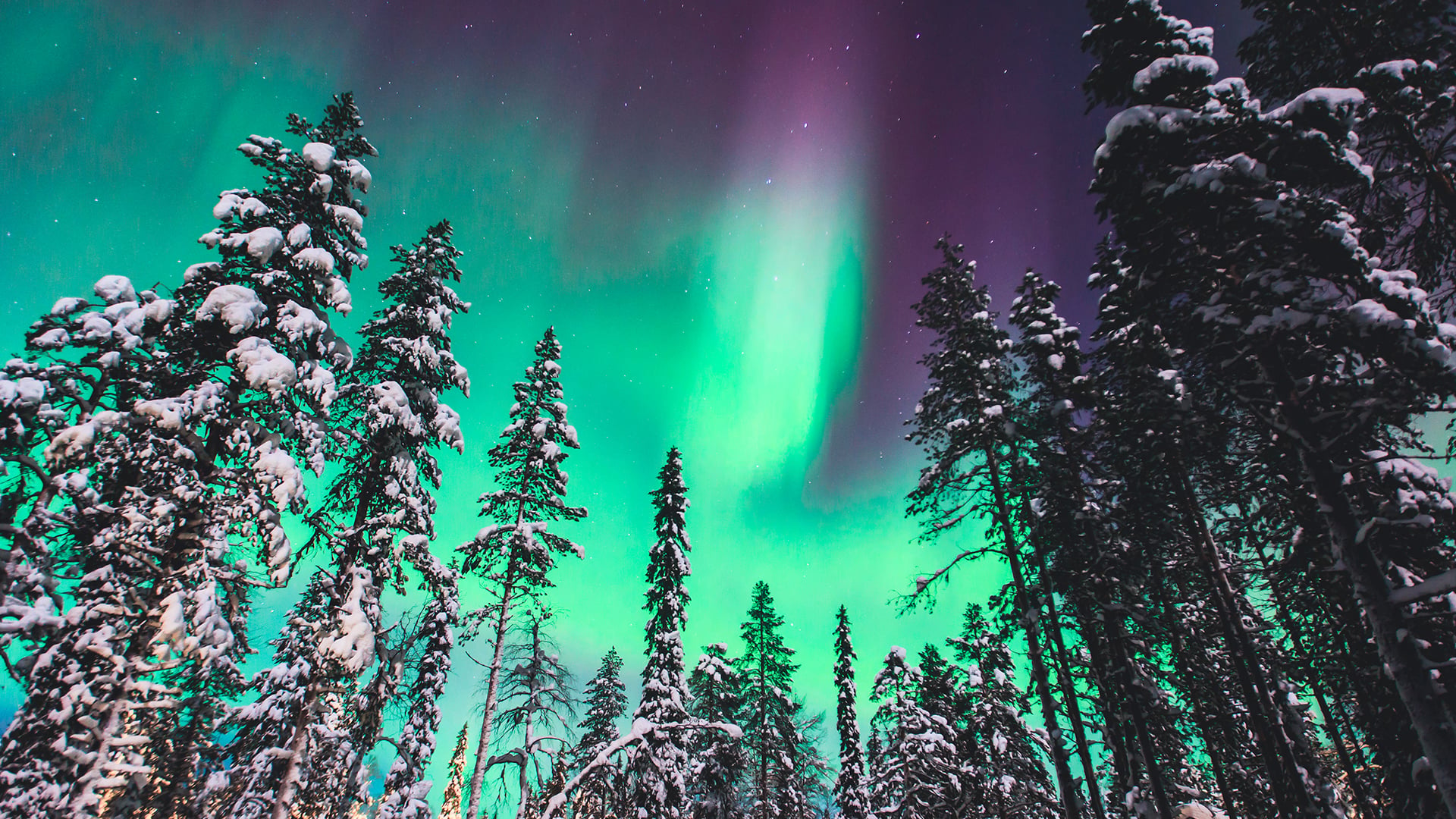 Türk Hava Yolları ile Büyüleyici Kuzey Işıkları & Lapland 4 Gece 5 Gün |Ekstra Turlar Dahil, Glass Otel Konaklamalı, Sömestir|